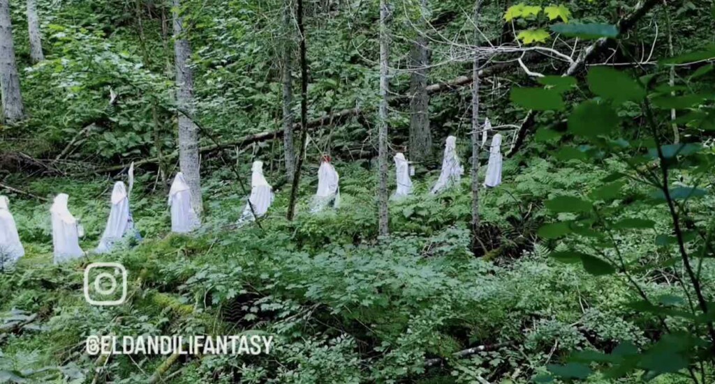 Cosplay Of Elvan Choir in Forest Ig Eldandilifantasy