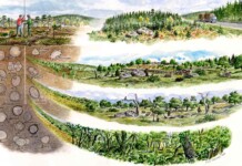 Ancient Hazelnuts are Being Used by Archaeologists to Reconstruct Prehistoric Woodlands