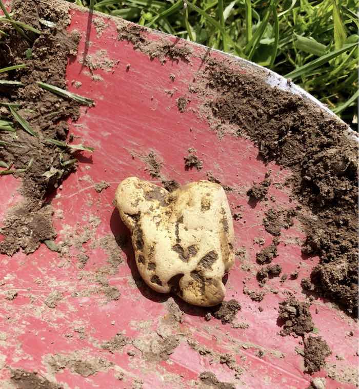 Detectorist finds largest ever gold nugget under English soil