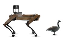 Airport Keeps Wildlife Away From Runways with Robot Disguised as Predator