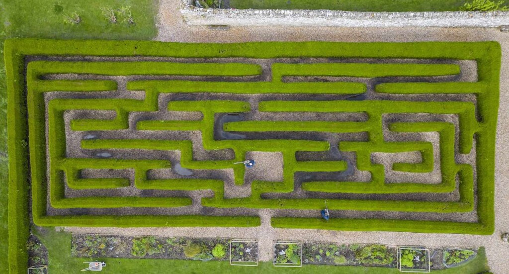 Hedge Maze at Bolton Castle Swns