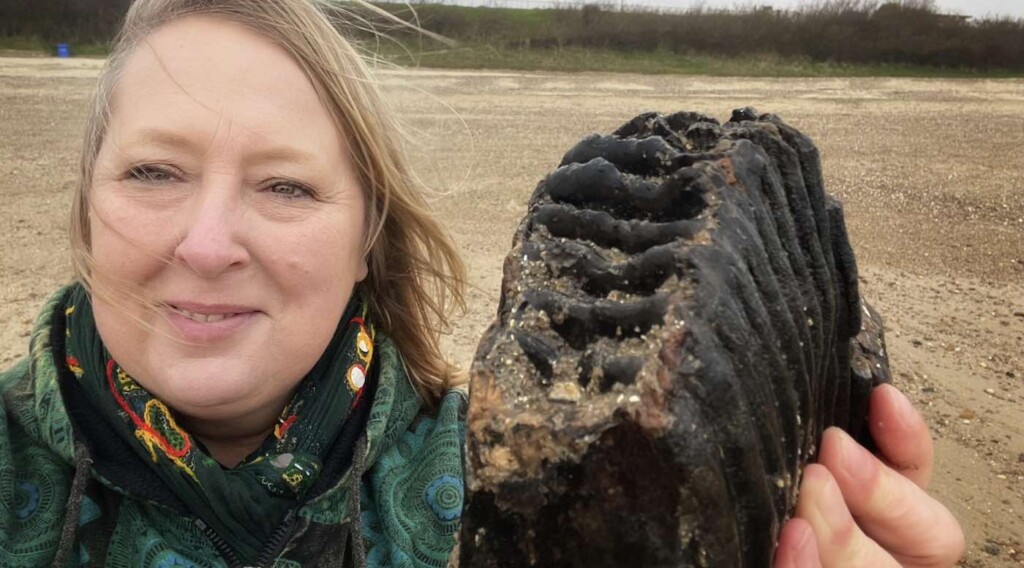 Fossil Hunter Discovery Mammoth Tooth On Beach Chris Bien Via Swns