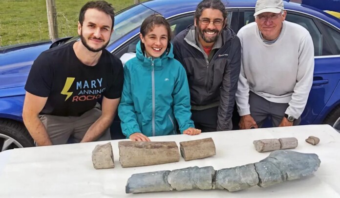 ichthyosaur fossils found by girl and dad-Courtesy of Dean Lomax