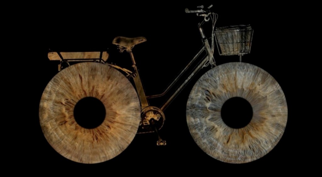 Bicycle Cornea Art On Black By Andriana Green Swns