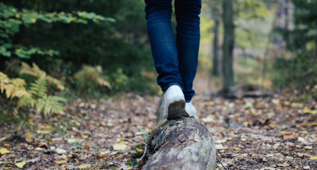 Walking Outdoors in Nature Balancing On Log Swns