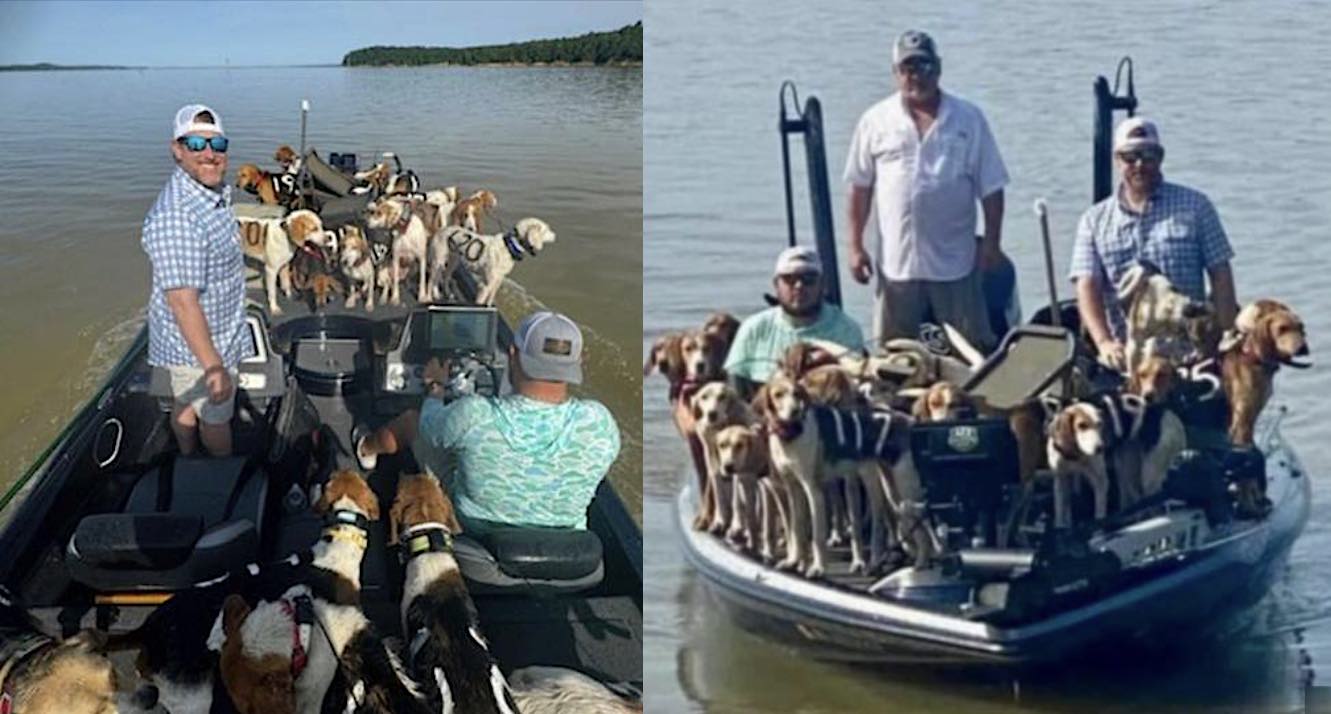 Fishermen Pull Off Dramatic Rescue of 38 Dogs Treading Water with No Shore in Sight