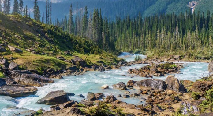 Yoho National Park, in Field, Canada by Hendrik Cornelissen - pubdomain