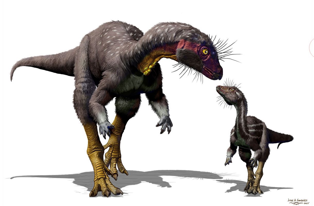 A Burrowing Dinosaur? More Evidence from Utah Suggests that Some Dinos Were Happier Underground