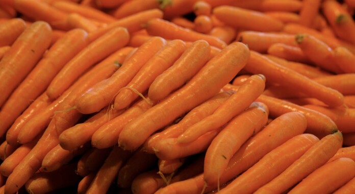 baby carrots-by engin akyurt-pubdomain