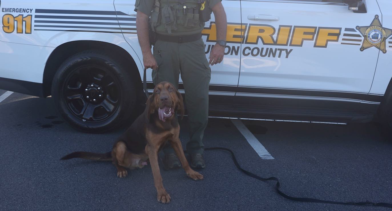 K9 Officer Rescues Lost Non-Verbal Child by Following the Boy’s Scent in Reverse to Find His Home