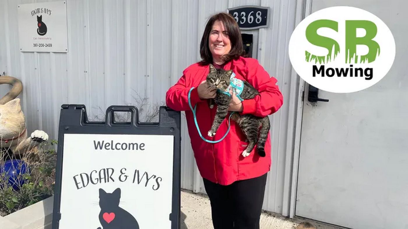 700 Cats Rescued After TikTok User Finds a Texas Tabby–and Rescues a Sanctuary in Trouble