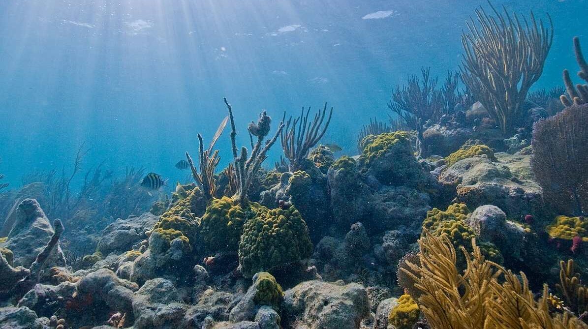 US National Parks Are Receiving Record-High Gift of $100 Million to Protect and Restore Fragile Ecosystems