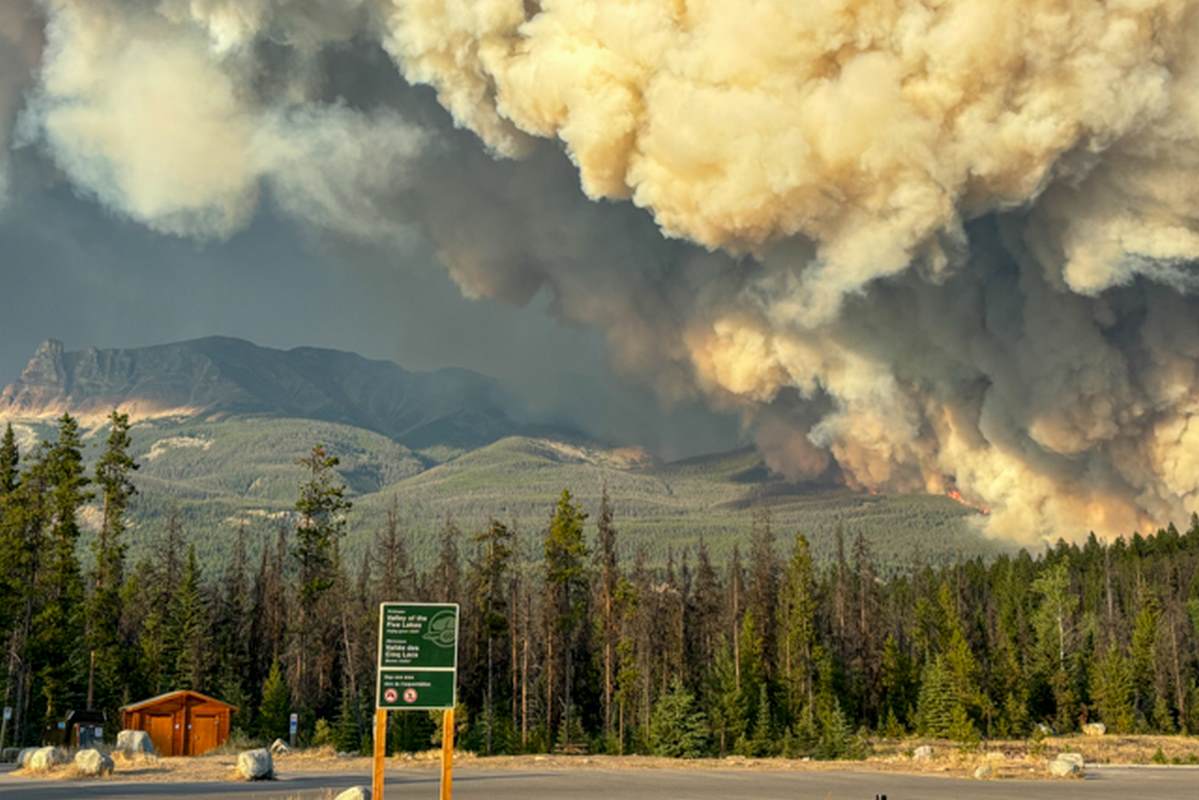 18-Year-old Uses Her Tracking Skills to Guide Hikers on Wildfire Evacuation Route