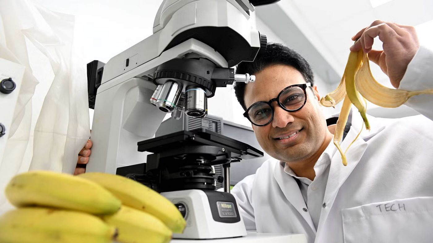 Scientists Make Stunning Breakthrough, Turning Banana Peels into Textiles and Renewable Fuels