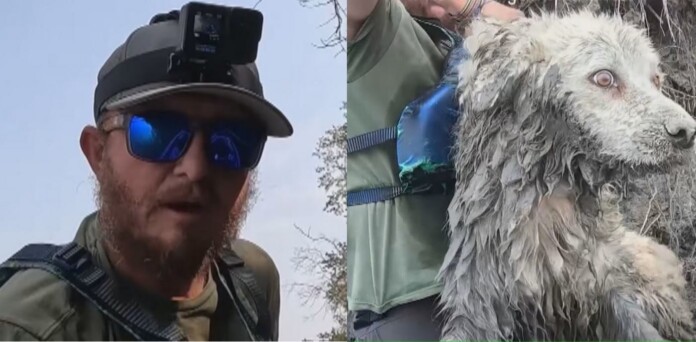 credit - Tom Hudson Instagram