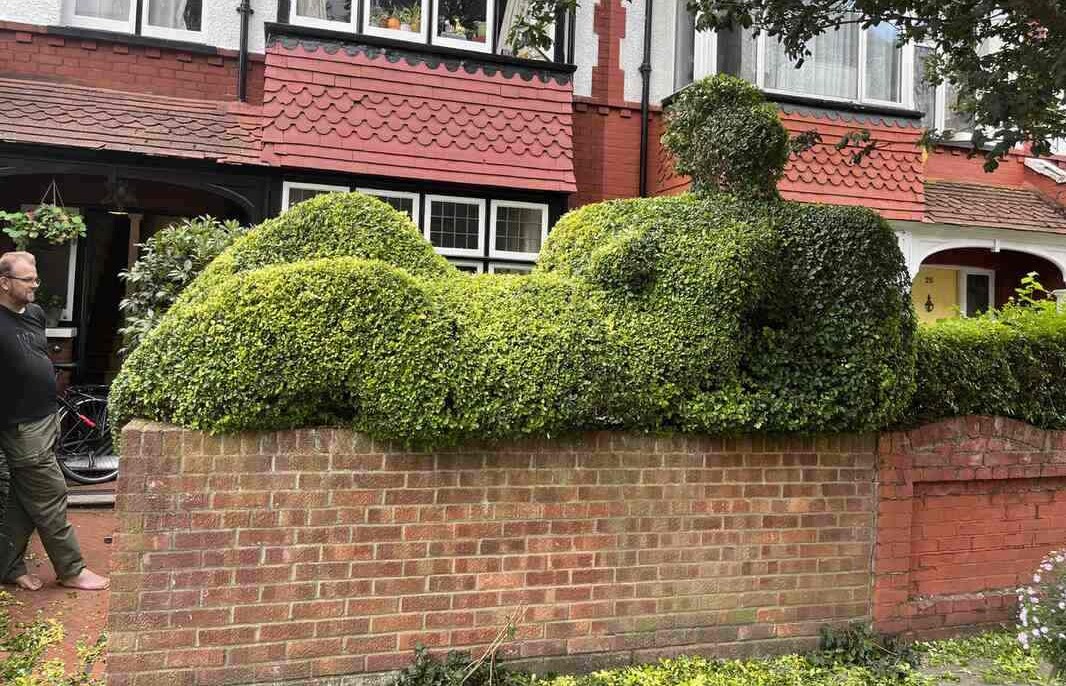 Hobbyist Hedgetrimmer Transforms His Street into Green Sculpture Gallery in Memory of Beloved Wife