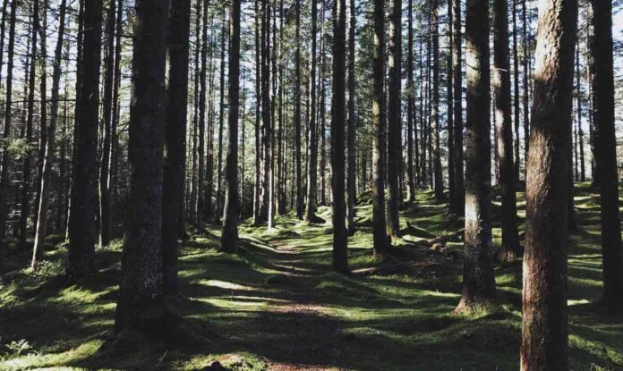 Photo by Robert Bye, Unsplash