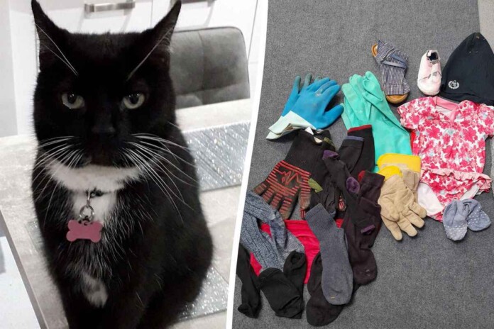 Pictured Taboo with her stash of hot property - credit SWNS