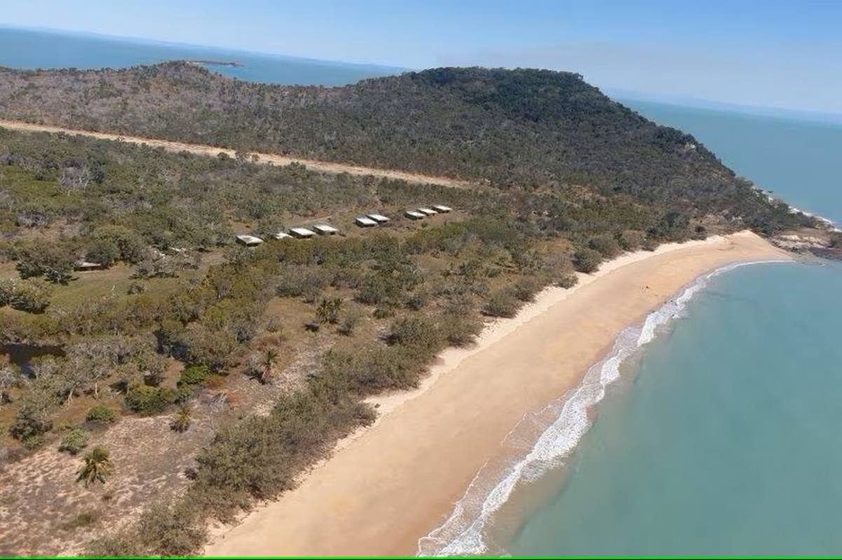 To Save Sea Turtle Population Invasive Deer Successfully Eradicated