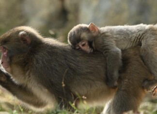 “Success seems to be largely a matter of hanging on after others have let go.” – William Feather