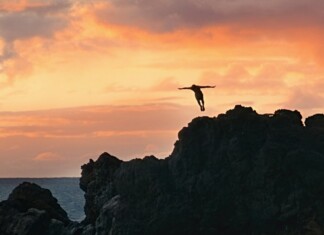 “Fortune befriends the bold.” – Emily Dickinson