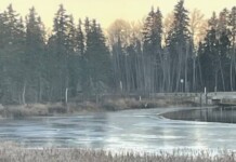 Officials Applaud Canadian Woman Who Saved Boy from Drowning in Frozen River
