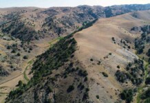 Two Lost Cities Discovered Along the Silk Road Alters What We Know About Ancient Trade Route