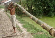 India Law Allows Villagers to Claim 2000 Acres of Bamboo Forest to Turn Poverty into Prosperity