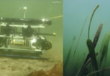 Robot ‘Grasshopper’ Helps Restore Lost Seagrass Meadows Around the World