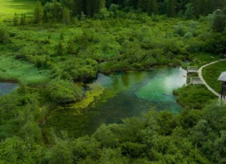 “That which is not good for the beehive cannot be good for the bees.” – Marcus Aurelius