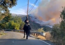 Teen Rescuer Bravely Rides Scared Horse 14 Miles Out of Burning Canyon – WATCH