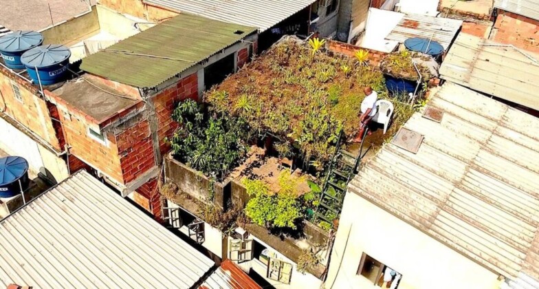 Gray Slums of Brazil Turn Green with Rooftop Garden Project in Full Bloom