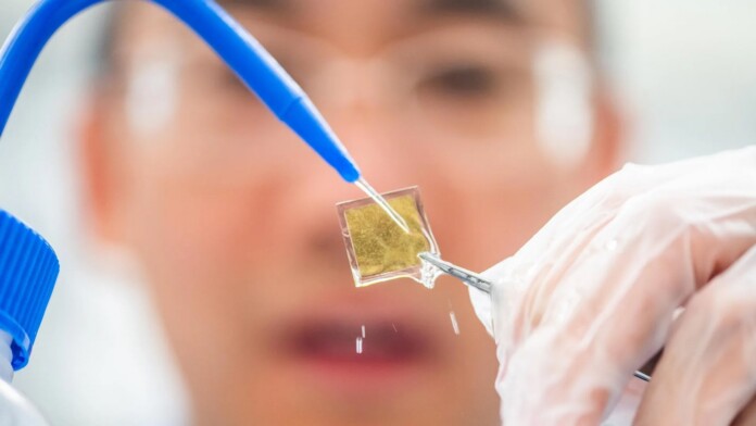 The solar catalyst - credit, Olov Planthaber, via Linkoping University