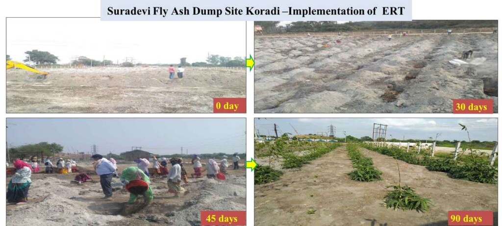 New Bamboo Plantations Are Healing Villages Choked by Toxic Ash from Coal Plants in India