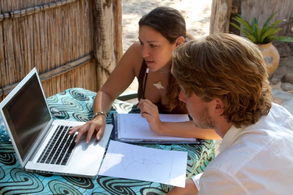 Scientists Identify A New Manta Ray Species, Just The Third Known In The World