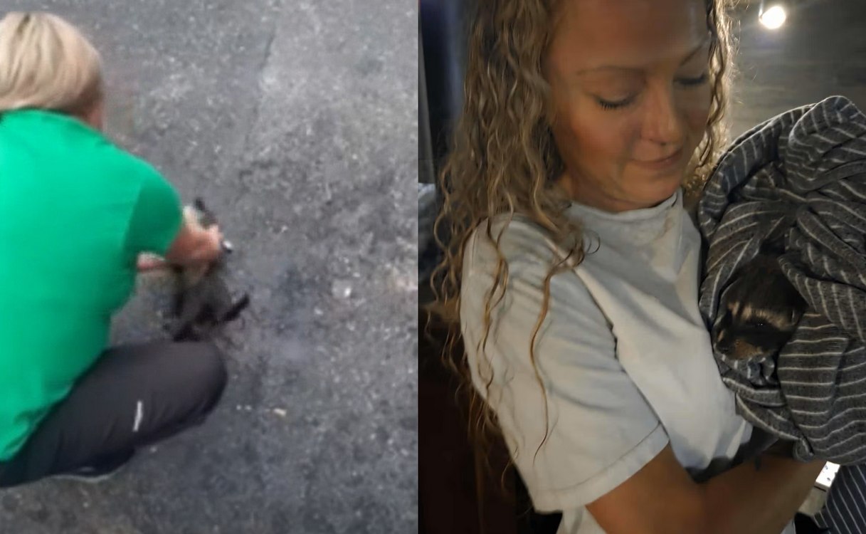 Kentucky Nurse Revives Drunk Raccoon Found in Dumpster with CPR