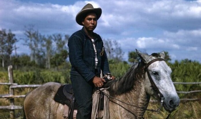 A Seminole cattleman on the Brighton Reservation - credit, state archives