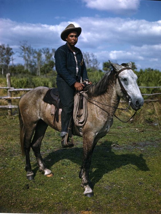 Oldest Ranchers In America Who Drove Out The Spanish Mark 500 Years Of ‘Cowkeeping’ In Florida