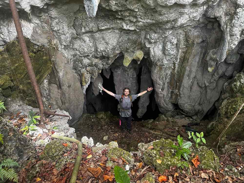 Endangered Palau Ground Doves Thriving After Restoration Effort