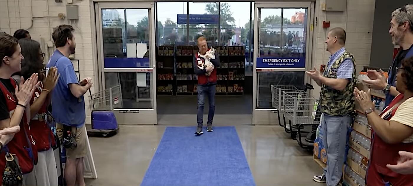Beloved Lowe&rsquo;s Store Cat Is Finally Found In Neighboring State After Security Footage Reveals Clues