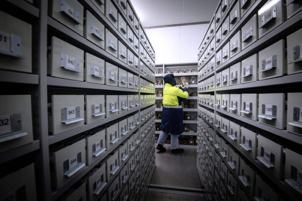 Quarter Century Of Collecting Seeds From Around The World Safeguards Them From Extinction