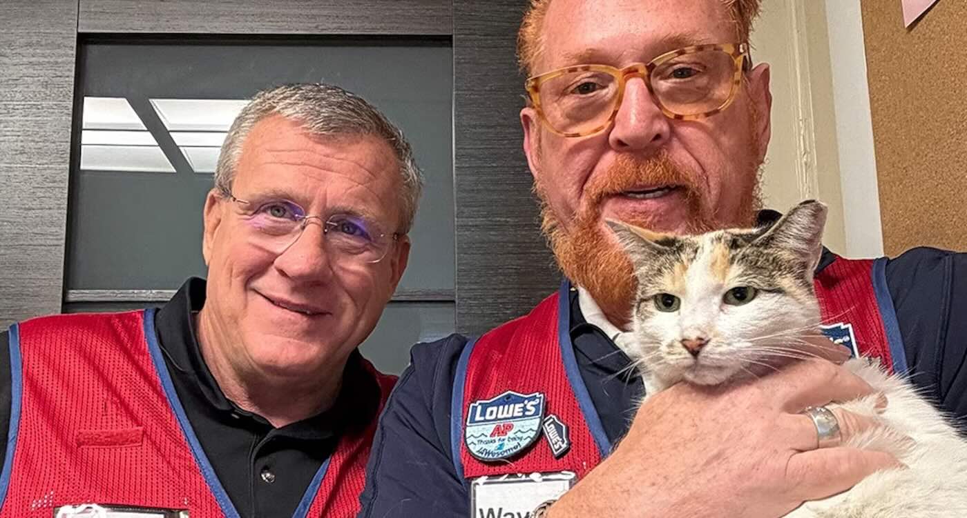 Beloved Lowe’s Store Cat is Finally Found in Neighboring State After Security Footage Reveals Clues