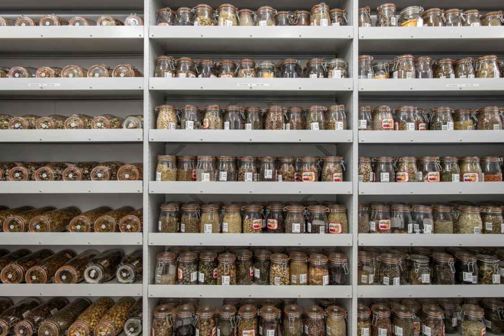 Quarter Century Of Collecting Seeds From Around The World Safeguards Them From Extinction