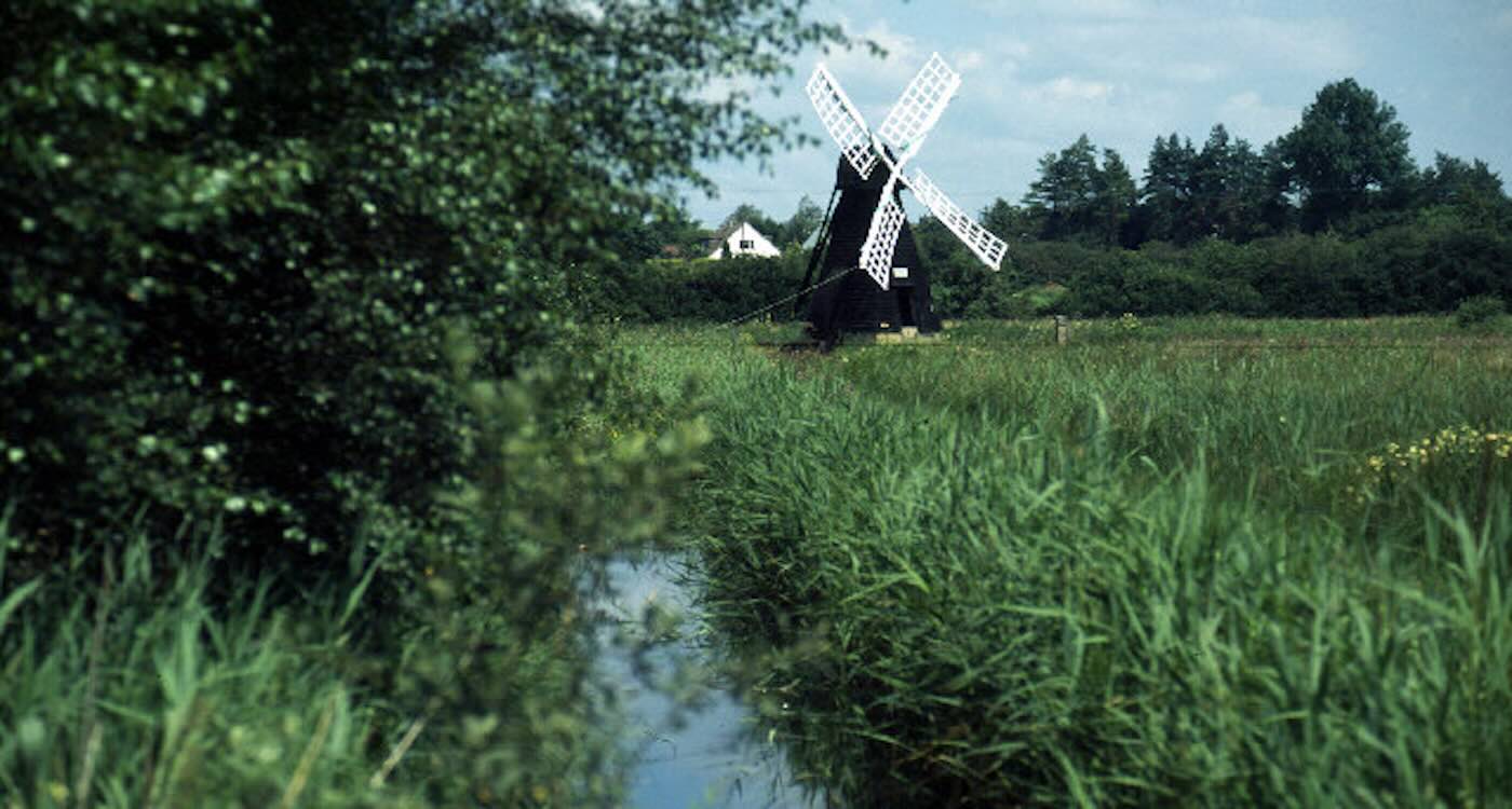 First Nature Reserve To Record 10,000 Species In Uk&ndash;Thanks To Moth That Looks Like A Wasp