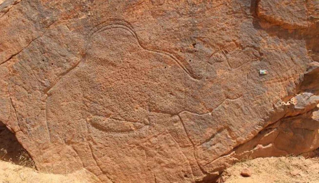 Huge Camel Carvings Dating Back 12,000 Years Marked Wet Season Oases Like Cultural Road Signs