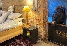 Airbnb Lets You Open Bedroom Door to Welcome in a Miniature Horse (LOOK)