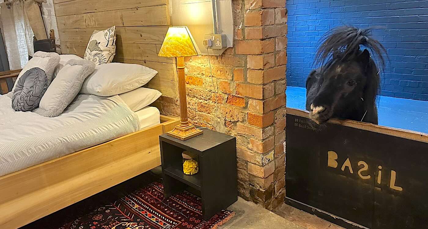 Airbnb Lets You Open Bedroom Door To Welcome In A Miniature Horse (Look)
