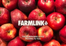 A Free Pop-Up Apple Orchard in the Big Apple Invites You for Free Fruit and Hot Cider