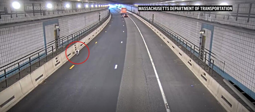 Dog Rescued From Boston Tunnel During Rush Hour After Playing ‘Will I Won’t I’ With Police – Watch