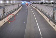 Dog Rescued from Boston Tunnel During Rush Hour After Playing ‘Will I Won’t I’ with Police – WATCH
